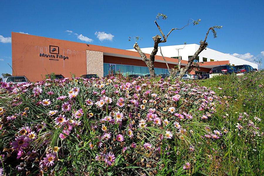 Monte Filipe Hotel Alpalhão Exterior foto